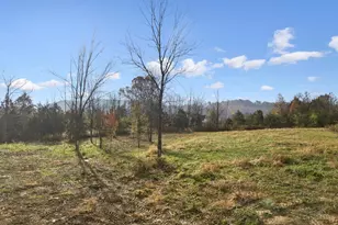 5643 Old State Rte 32, Bratton Township, OH 45660 - Photo 11