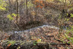 2457 Martinsville Rd, Clark Township, OH 45146 - Photo 55