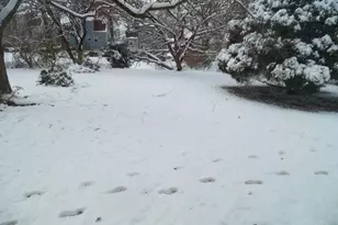 6427 Mayflower Ave, Golf Manor, OH 45237 - Photo 19