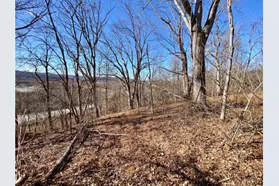 60 US Rt 52, Manchester, OH 45144 - Photo 5