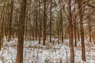 363 Crystal Rd, Oliver Township, OH 45693 - Photo 25