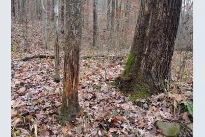 135 Union Hill Road, Franklin Twp, OH 45660 - Photo 21