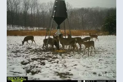 135 Union Hill Road, Franklin Twp, OH 45660 - Photo 43