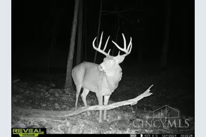 135 Union Hill Road, Franklin Twp, OH 45660 - Photo 39