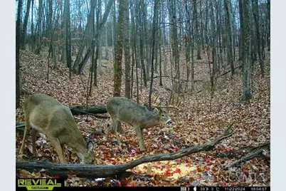 135 Union Hill Road, Franklin Twp, OH 45660 - Photo 41