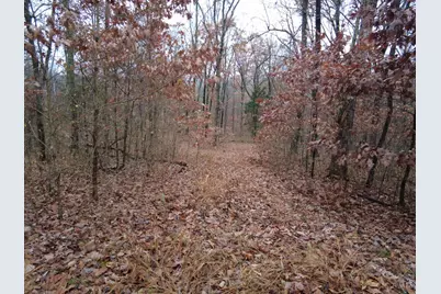 135 Union Hill Road, Franklin Twp, OH 45660 - Photo 29