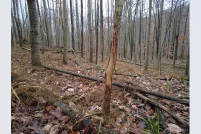 135 Union Hill Road, Franklin Twp, OH 45660 - Photo 27