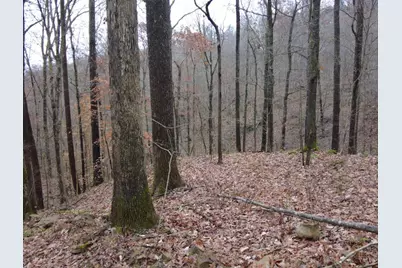 135 Union Hill Road, Franklin Twp, OH 45660 - Photo 23