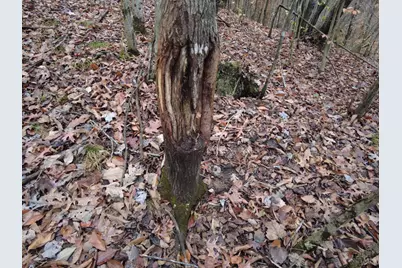 135 Union Hill Road, Franklin Twp, OH 45660 - Photo 35