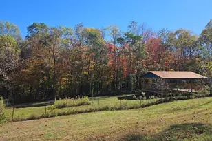 4790 Jester Hill Rd, Paxton Twp, OH 45612 - Photo 41