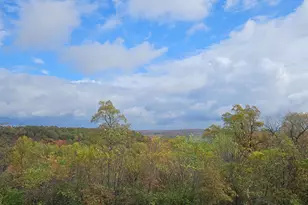 4790 Jester Hill Rd, Paxton Twp, OH 45612 - Photo 43