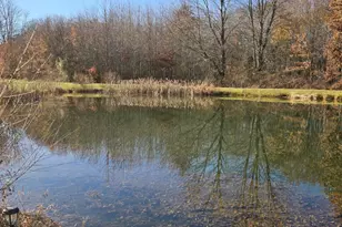 8795 Morrow Rossburg Rd, Harlan Township, OH 45162 - Photo 75