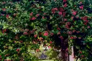 5919 Amanda Ct, Goshen, OH 45140 - Photo 21