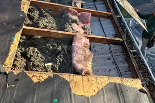 1 Pinehurst Ct, Fairfield, OH 45014 - Photo 89