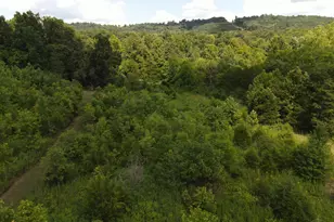 2314 White Oak Rd, Blue Creek, OH 45616 - Photo 13