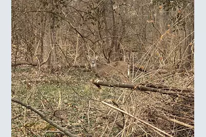 6258 Benneville Street, Cincinnati, OH 45230 - Photo 43