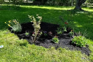 1436 Young Rd, Pierce Township, OH 45102 - Photo 51