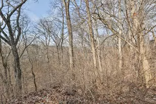 6503 Niderdale Way, Madison Township, OH 45042 - Photo 53