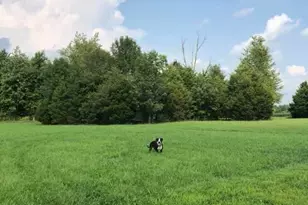 424 Mt Zion Rd, Seaman, OH 45679 - Photo 53