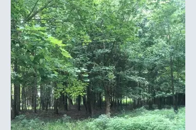 424 Mt Zion Road, Seaman, OH 45679 - Photo 55