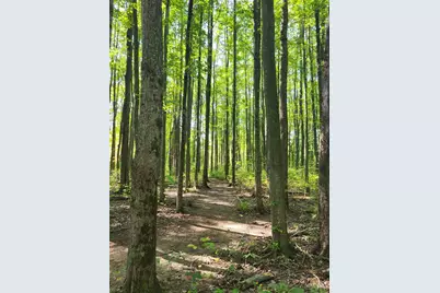 1770 Sunny Acres Lane, Ohio Township, OH 45102 - Photo 47