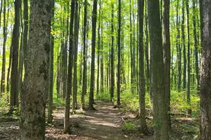 1770 Sunny Acres Ln, Ohio Township, OH 45102 - Photo 47