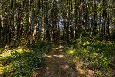 1770 Sunny Acres Lane, Ohio Township, OH 45102 - Photo 55