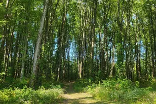 1770 Sunny Acres Ln, Ohio Township, OH 45102 - Photo 49