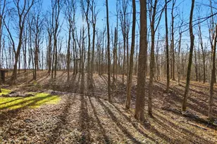 4724 Bennington Rd, Washington Twp, OH 45133 - Photo 9