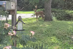 7628 Lesourdsville West Chester Rd, West Chester, OH 45069 - Photo 65