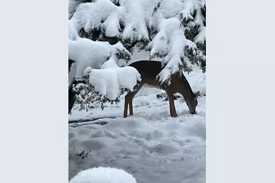 7628 Lesourdsville West Chester Road, West Chester, OH 45069 - Photo 67