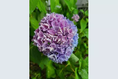 213 N Charity Street, Bethel, OH 45106 - Photo 51