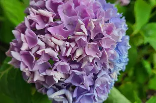 213 N Charity St, Bethel, OH 45106 - Photo 51