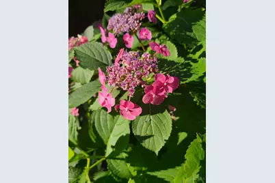 213 N Charity Street, Bethel, OH 45106 - Photo 53