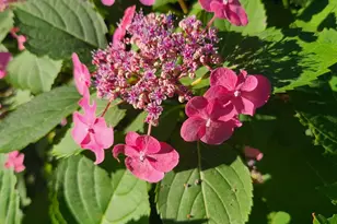 213 N Charity St, Bethel, OH 45106 - Photo 53