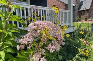 5709 Ridge Ave, Cincinnati, OH 45213 - Photo 3