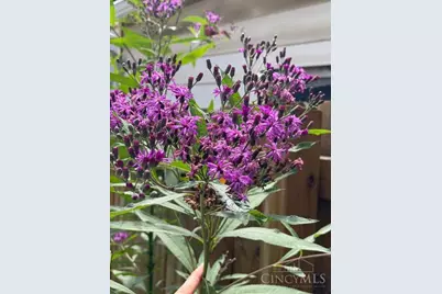 5709 Ridge Avenue, Cincinnati, OH 45213 - Photo 33