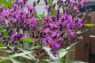 5709 Ridge Ave, Cincinnati, OH 45213 - Photo 33