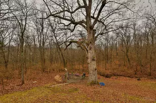 2245 Grimes Vly Dr, West Harrison, IN 47060 - Photo 41