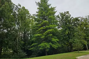 8573 Maineville Rd, Hamilton Township, OH 45039 - Photo 33