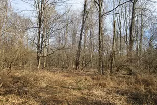 5420 Wolfpen Pleasant Hill Rd, Miami Township, OH 45150 - Photo 3