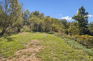 917 Logans Ln, West Union, OH 45693 - Photo 23