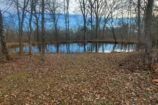 1202 Yankeetown Rd, Clark Township, OH 45130 - Photo 7