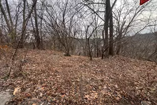 1875 Biegler St, Cincinnati, OH 45214 - Photo 1