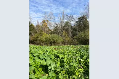 0 Harriett Road, Marshall Township, OH 45133 - Photo 27