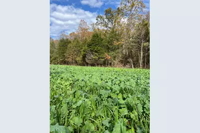 0 Harriett Road, Marshall Township, OH 45133 - Photo 39