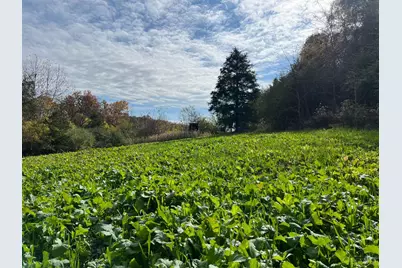 0 Harriett Road, Marshall Township, OH 45133 - Photo 15
