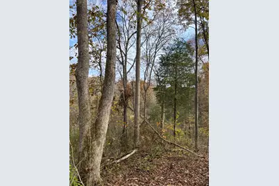 0 Harriett Road, Marshall Township, OH 45133 - Photo 45