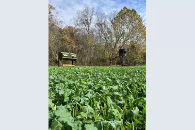 0 Harriett Road, Marshall Township, OH 45133 - Photo 41