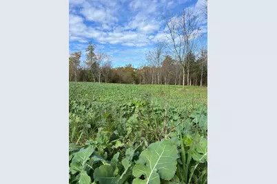 0 Harriett Road, Marshall Township, OH 45133 - Photo 49